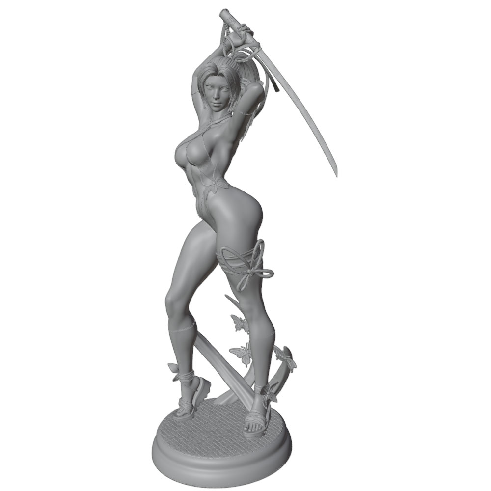 1/24 Female 	Warrior Resin Mod - 3D Printing Liquid review and price