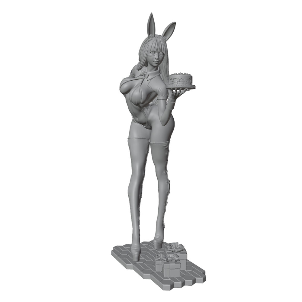 1/24/12/6 Holiday party theme  - 3D Printing Liquid review and price